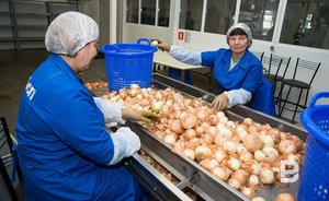 В Татарстане вторую неделю подряд дешевеет «борщевой набор»