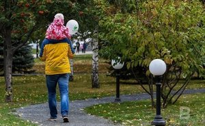 Правительство России выделит еще 14 млрд рублей на выплаты родителям-одиночкам