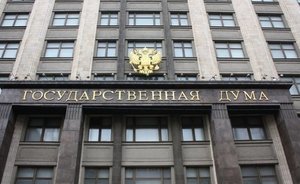 Из Госдумы отозвали законопроект о праве регионов усыплять бездомных животных