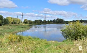 В Казани провели исследования для обоснования статуса особо охраняемой природной территории рощи на Гаврилова