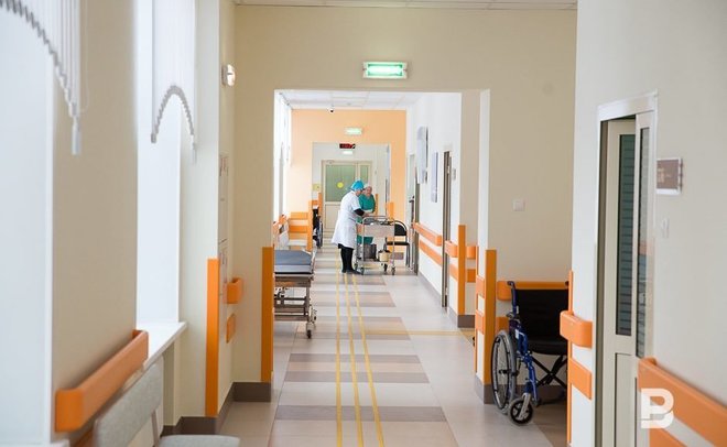 В Минздраве Татарстана посоветовали не высасывать яд при укусе змеи