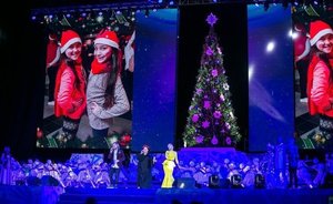 Республиканская новогодняя елка состоится в Казани 25 декабря