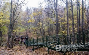 Из-за очень сильного ветра пострадали четыре общественных пространства Казани