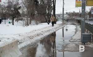 В Татарстане на этой неделе ожидается потепление до +2 градусов, но без метелей не обойдется