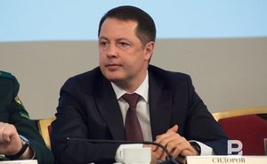 Экс-министр экологии Татарстана возглавил «Новый поток»