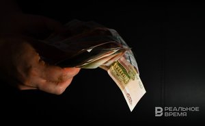 Число финансовых пирамид в России достигло исторического максимума, увеличившись за год почти на 50%