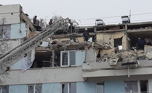 «Будем помогать и животным в том числе!»: как власти Челнов отреагировали на взрыв в доме и что ждать дальше