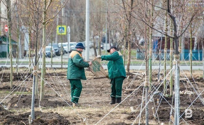 В Татарстане утвердили даты проведения санитарного двухмесячника и его основную цель