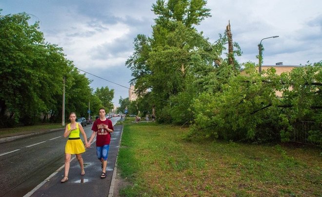 Татарстанцев предупредили о грозе и сильном ветре в понедельник