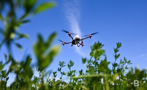 Минобороны России: над Белгородской областью перехвачены два украинских беспилотника