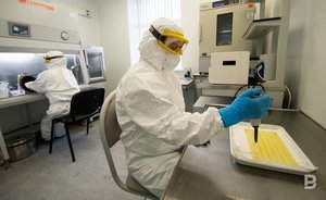 Итоги дня: увольнение главы казанского цирка, Молдавия погасила долг «Газпрому», новый штамм COVID-19