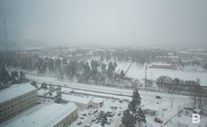 Татарстанцев предупредили о метели, порывистом ветре и гололедице 1 февраля