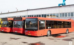 Перевозчики обратились к Рустаму Минниханову с просьбой ввести компенсацию за работу во время самоизоляции