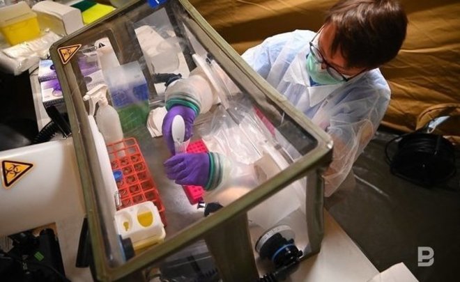 Японские ученые нашли взаимосвязь между кишечной палочкой и низкой смертностью от COVID-19