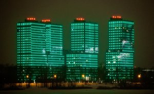 Казань стала участником всероссийского флешмоба «Сохраним лес»