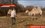 В татарстанском селе из-за пандемии появились верблюды — видео
