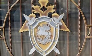 Пропавшую в Нижегородской области студентку из США нашли убитой