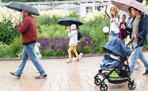 Детский омбудсмен Татарстана предложила учредить федеральный фонд поддержки многодетных семей