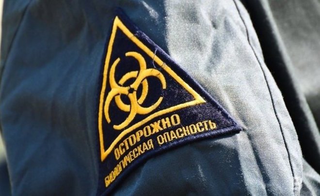 В соседней с Татарстаном Марий Эл обнаружили вирус птичьего гриппа у мертвых чаек