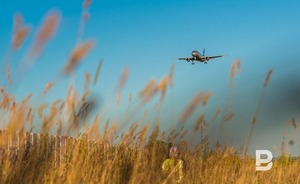 У севшего в поле под Новосибирском самолета слили остатки топлива