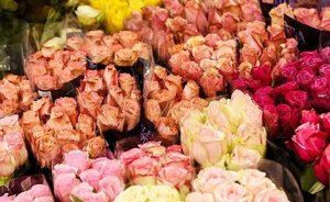 Цветы — самый популярный подарок по случаю Дня матери