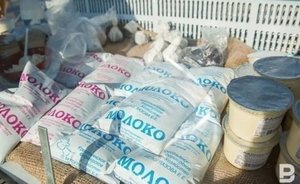 Татарстан получит 11,2 млн рублей на создание и модернизацию молочных ферм и овощехранилищ