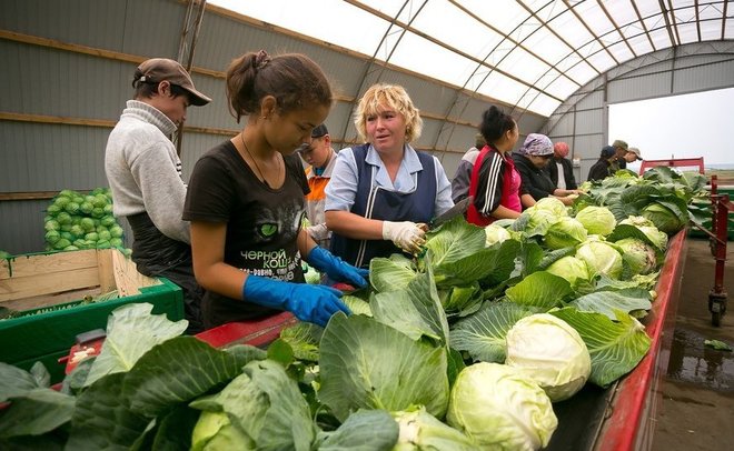 В Татарстане за неделю снизились цены на большую часть продуктов «борщевого набора»