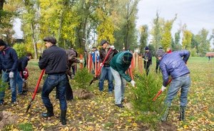 Татарстан вошел в пятерку лучших регионов по управлению лесами