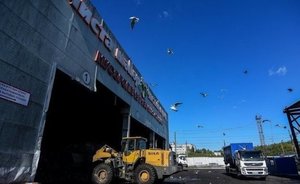 Регионам выделят 1 млрд рублей на закупку контейнеров для раздельного сбора мусора