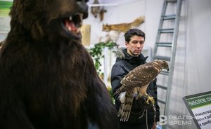 В Татарстане образовались новые закрепленные охотничьи угодья