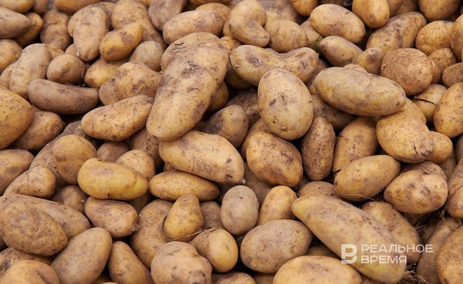 В России в июле стоимость котлет и картофельного пюре составила 254,54 рубля