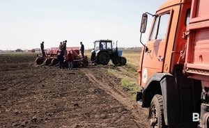 Минсельхоз США повысил прогноз экспорта пшеницы из России