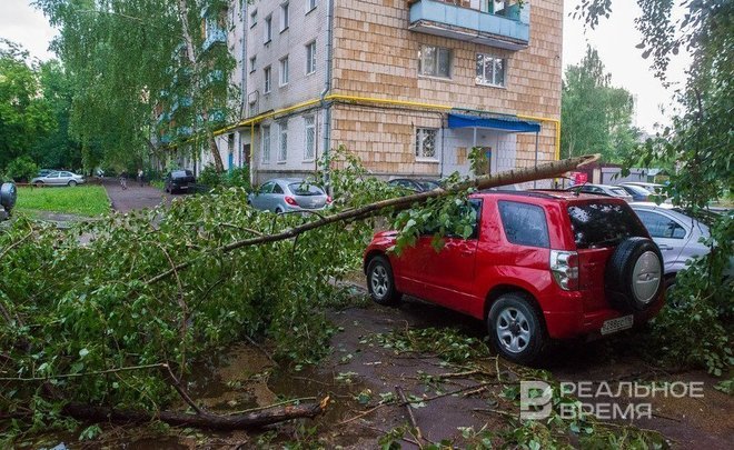 Татарстанцев предупредили о грозе и сильном ветре 4 августа
