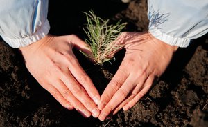 В Нижнекамске завершена осенняя высадка деревьев в рамках программы СИБУРа «Зеленая формула»