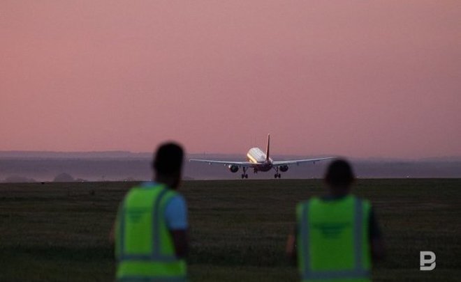 В Казани самолет сбил зайца во время взлета