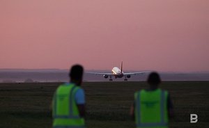 В Казани самолет сбил зайца во время взлета