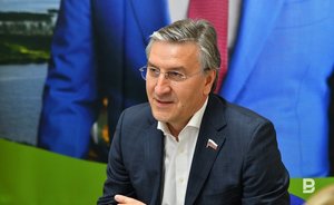 Фаррахов — о потерях бюджета Татарстана: «Потеряли те, кто имел хорошую прибыль»