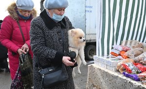В Татарстане снизились цены на помидоры, конфеты и мясные консервы для детского питания