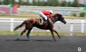В Елабуге выбрали место для проведения Сабантуя