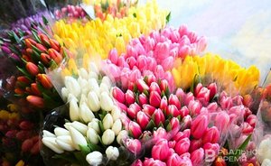 Казанца обвинили в виртуальных аферах при заказе доставки цветов