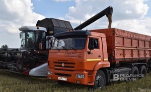 У фермеров Татарстана скопились запасы зерна на 6 млрд рублей