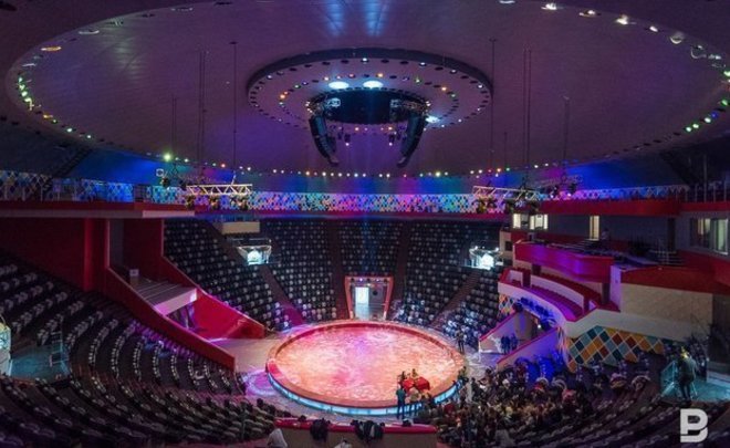 Казанский цирк заплатит 4,3 млн рублей за прокат чужих номеров с участием слонов, лошадей и верблюдов