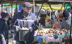Исследование: в Казани спрос на сельхозпредприятия поднялся на 98%