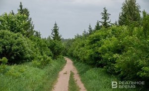 В России чаще всего пропадают мужчины в возрасте от 25 до 45 лет