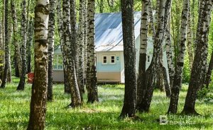 Больше половины казанцев хотели бы переехать жить на дачу