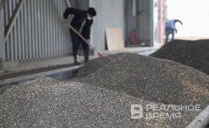 МИД: решение по зерновой сделке будут принимать только исходя из интересов России