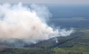 В МЧС признали ответственность ведомства за распространение пожаров в Сибири