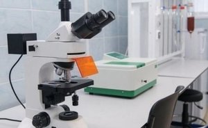 В Китае зарегистрировали два случая заражения людей вирусом птичьего гриппа