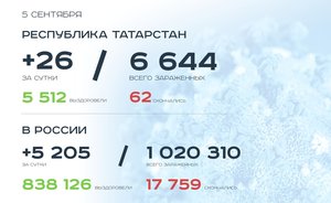 Главное о коронавирусе на 5 сентября: татарстанцы рано расслабились, а немцы просят траур по жертвам COVID