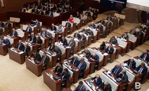 Татарстанские депутаты вступились за домашних животных